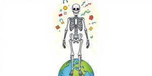 El Esqueleto de una Cartera Excepcional